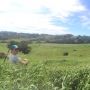 Little House on The Prairie, starring @JasonReeves