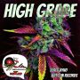 BLAK RYNO - HIGH GRADE - SINGLE #ITUNES 9/11/15 @tuffchinrecords