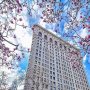 Ik ben in New York. Voor het eerst sinds de geboorte van mijn dochter een paar dagen weg van huis. Beetje heimwee. Maar ik mag straks een bijzondere man interviewen. Dat maakt veel goed.
