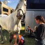 Foutloos binnen de tijd in de cross!! Bayro NOP voelde super aan, nu al voelt hij als een ervaren crosspaard😀. Hij heeft er in ieder geval energie van gekregen☺ #EventingMarbach #RuitersInOranje