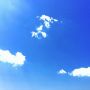 気持ちの良い空だね！そろそろ花粉症マスク納めかなー＼(^o^)／ワーイ