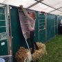 Na een zeer nuttige les gehad te hebben met Bayro NOP bij Nicole Werner zijn we nu weer aan het installeren in Geesteren waar ik Bayro NOP en Keyflow bij heb als training in de 1* rubrieken springen en Destination voor haar eerste internationale 2* springen #ruitersinoranje #Geesteren