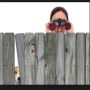 @dangerous_afc no nosey neighbours