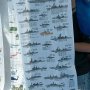 【艦艇公開 in 大洗2016】手ぬぐいごときが800円...だと...！？ 海自のは危うく買うところだったぜｗ (ﾟ∀ﾟ; ｱｾｱｾ 