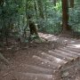 【筑波山】頂上から歩く事約3キロ、筑波山神社近くまできてようやく整備された歩道になった 