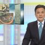 おじさんこわいのだめだっけ