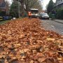 Herfst. #Roteb. 