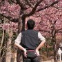 【宇都宮城址公園の河津桜2017】ようやく3月も半ばに差し掛かろうという時期に半袖のカメオタがおるｗｗｗ マジひくわーｗｗｗ 