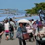 【ひたち海浜公園】ネモフィラの見頃ｷﾀ━━ヽ(ﾟ∀ﾟ )ﾉ━━!! 相変わらず凄い人出ですｗ