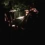 I love the lights in my treecastle in #Wonderland garden!