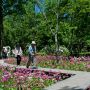 【上三依水生植物園】群生地自体はさほど広くありません 数分で歩ききれる程度 だがそれが(・∀・)ｲｲ!!