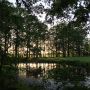 Overdose of idyll 
#familiedag #nofilter #odonkids