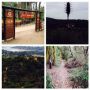 Trail. In Cachagua