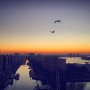 Flying high