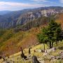 【半月峠】半月山～社山へ続く登山道の中間に位置する場所です ここからは足尾方面の山並みを望む事が出来ます