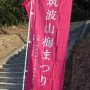 【筑波山梅林2020】今回は2年ぶりに筑波山梅林にやってきました