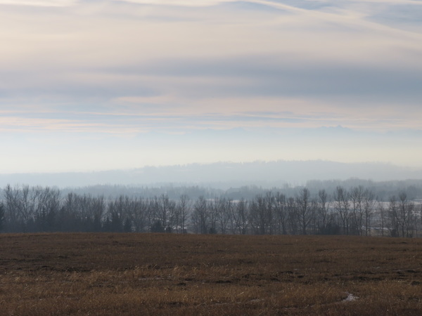 2020 06 22 from the #motorcycle #Jeep #adventure #travel #photooftheday