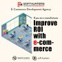 Ecommerce Website Development Company India