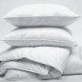 Learn to wash & dry feather or down hotel pillows, with us!