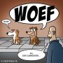 WOEF #cartoon