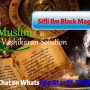 Sifli Ilm Black Magic Spells by Famous Astrologer