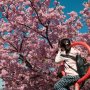 【まつだ桜まつり】ああこの輪っかはこういう風に使うのかｗ