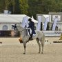 De dressuur ging zoals gehoopt en ben dus zeer tevreden; een hele goed proef onder de 40strp ( 39,1p), voorlopig 2e met nog 24 ruiters te gaan vanmiddag en de verschillen zijn heel klein. In de warming up voelde Bayro al heel goed aan, dat geeft altijd veel vertrouwen! Nu op naar morgen, we gaan ervoor!! #MBE17