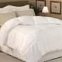 Give Your Guest a Lavish Feel with Our Royaloft Comforters!