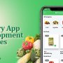 Grocery Shopping App Development