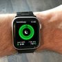 Upcoming Apple Watch Could Include Blood Oxygen Detection Feature