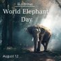 Step up to rescue elephants with World Elephant Day!