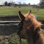 Lekker relaxed dagje vandaag in Barroca; met Destination alle tijd om eens rustig rond te kijken hierop het crossterrein