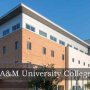 Florida A&M University College of Law: An Exceptional Law College Experiencing Diversity at the Next- Level