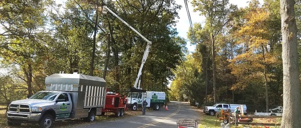 Welcome to the Jimmy Tree service! When it comes to cutting trees or trimming trees, this work is better left to tree experts. We understand the importance of trees to you and are familiar with the risks of pruning. In Shelby Charter Township MI County, you can choose when you contact us.
Tree pruning
Tree Shaping
Remove the tree
Stump crush
Tree Health Service
For details, please call 586-634-1176 or visit https://is.gd/31M0Ig