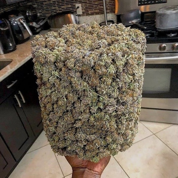 buy organic purple kush online