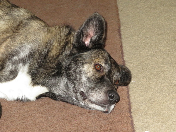 2020 07 03 from the #motorcycle #Jeep #adventure #travel #photooftheday