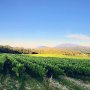 View of the #montventoux