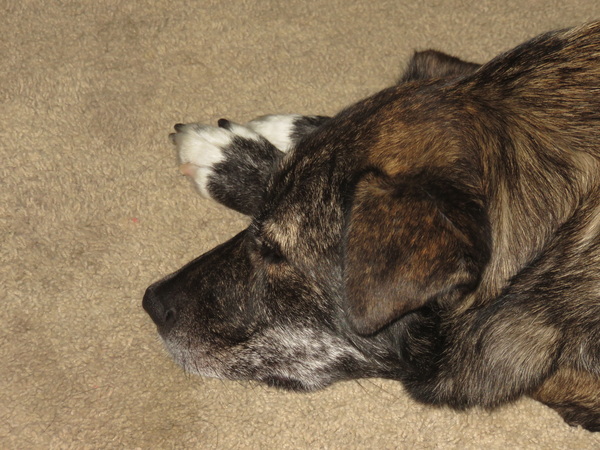 2020 06 30 from the #motorcycle #Jeep #adventure #travel #photooftheday 