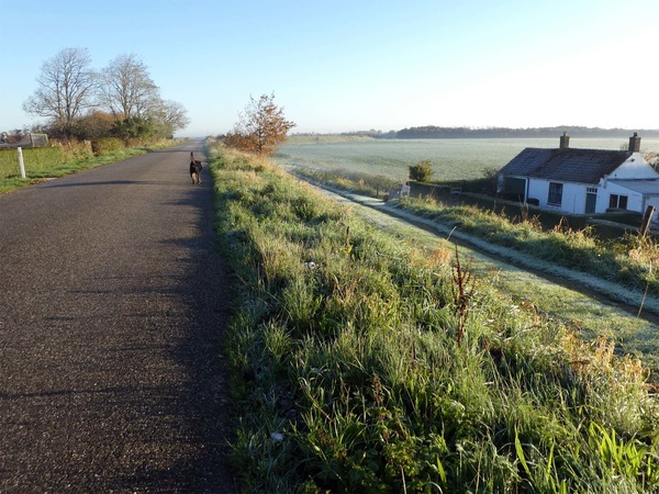 ochtend in Zonnemaire