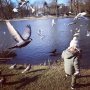 feeding frenzy