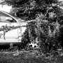 Abandoned and overgrown car in Tomioka, Fukushima. - Selecting photos for my book. Publication date: March 9