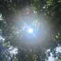 After lunch nap view