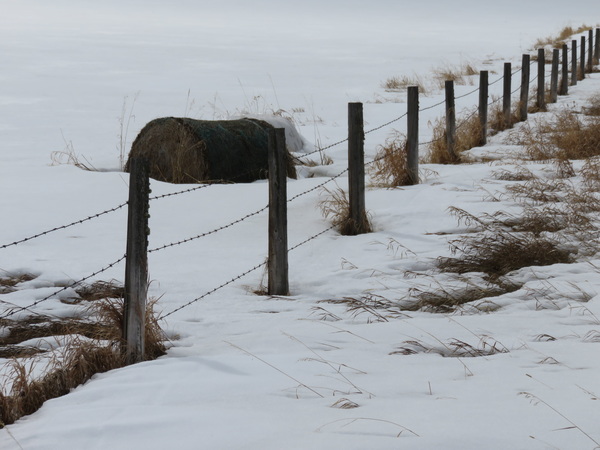 2020 06 18 from the #motorcycle #Jeep #adventure #travel #photooftheday