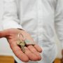 AR Locksmith Sydney 