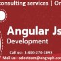 AngularJs consulting services | OnGraph