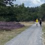 Camping brabant - Duinhoeve