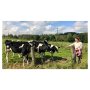 Nieuwe vrienden maken... 🐄