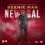 BEENIE MAN - NEW GAL - SINGLE #ITUNES 11/30/2018 @KingBeenieMan @BurnOutRecords 