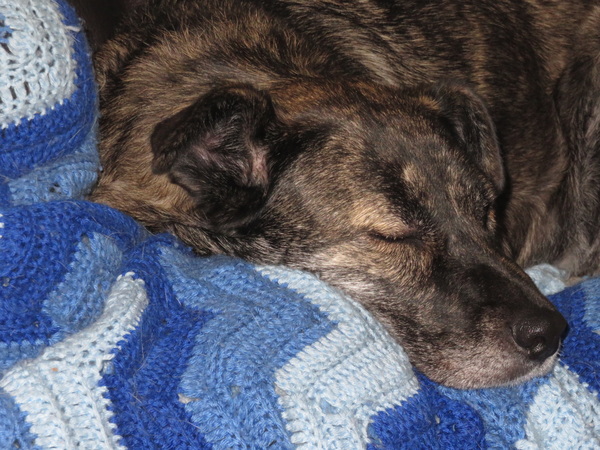 2020 06 21 from the #motorcycle #Jeep #adventure #travel #photooftheday