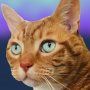 @faye_vvz made this royal portrait of our cat, including the background. I’m proud.